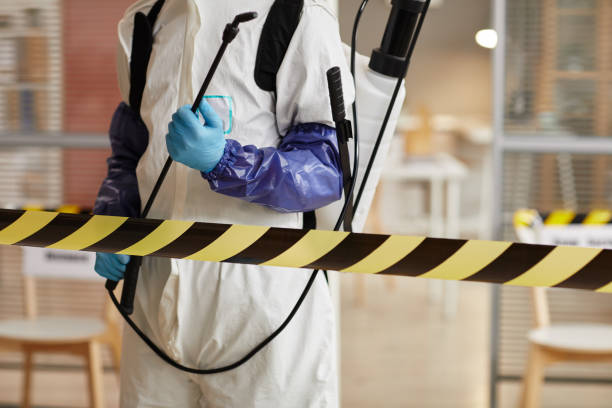 Professional Hoarding Cleanup technician working in Pelsor, AR